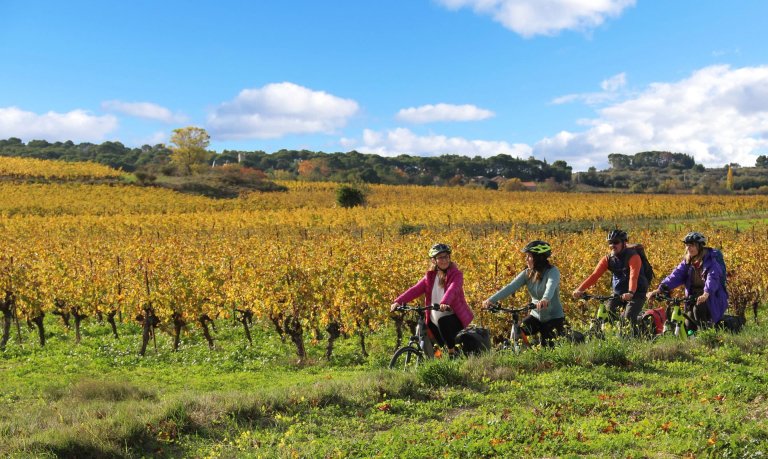 Quatre amis cyclistes parcourent l'Œnovélo Saint-Chinian au canal du Midi le long des vignes