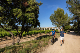 Deux amis se baladent près de l'aqueduc de Castries, l'un en VTT et l'autre en course à pied