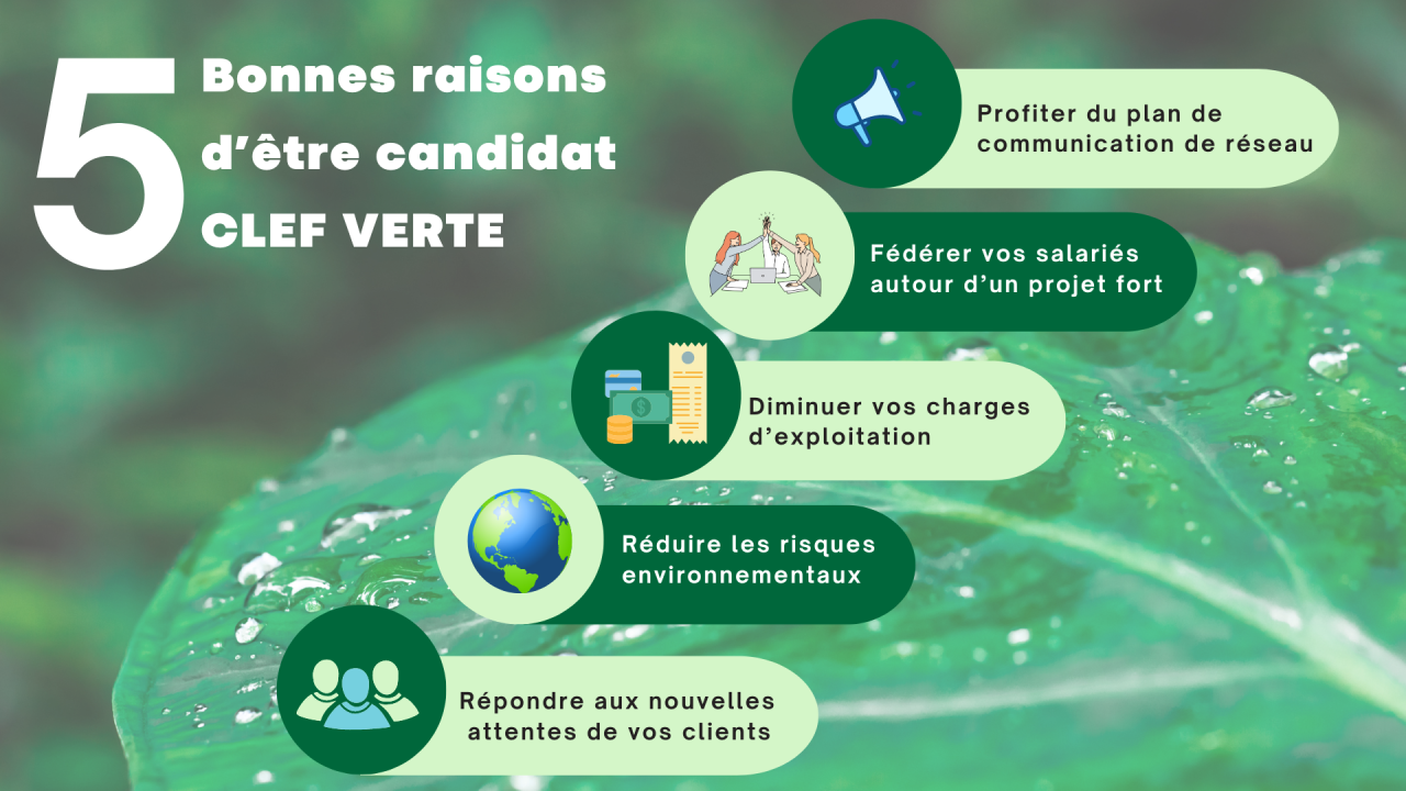 5 bonnes raisons d'être candidats Clef Verte